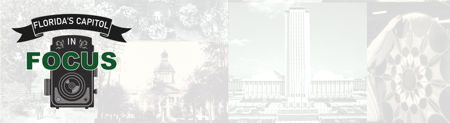 Florida’s Capitol in Focus