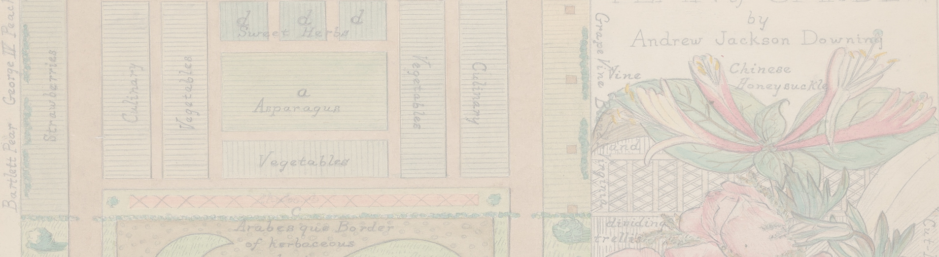 Historic Landscapes: Planting a Mount Vernon Garden